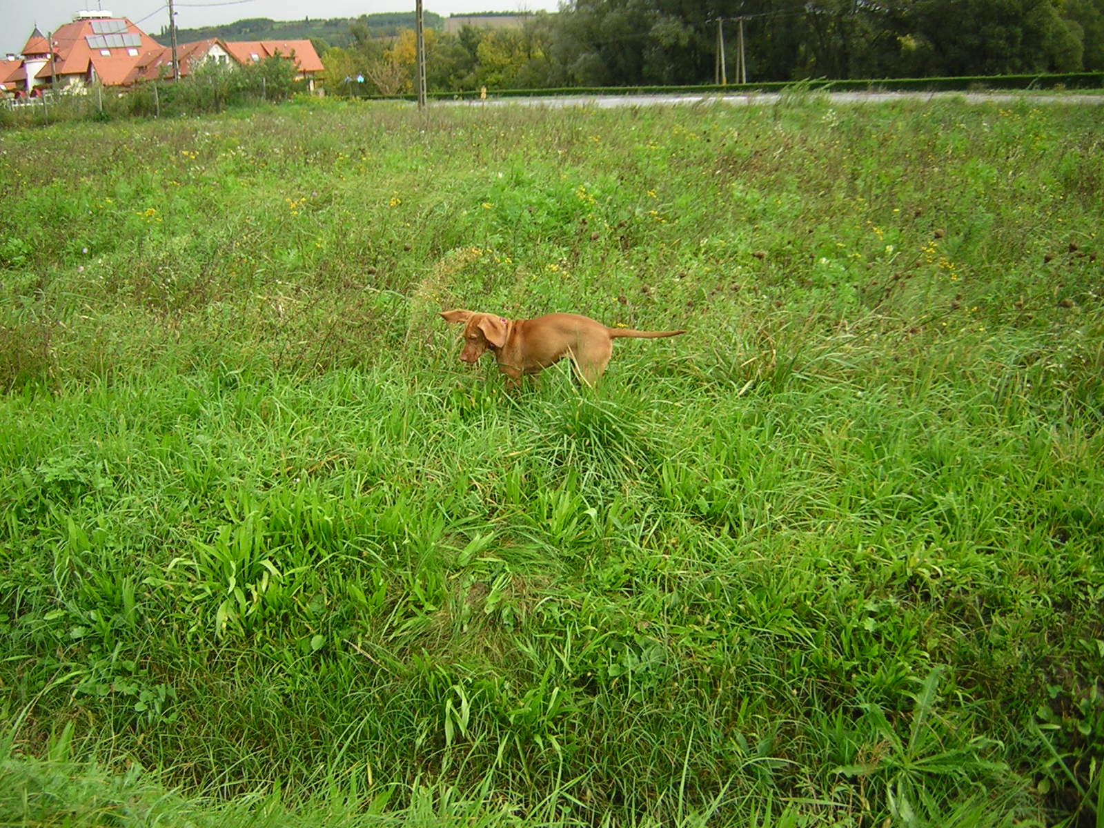 DSCN3824