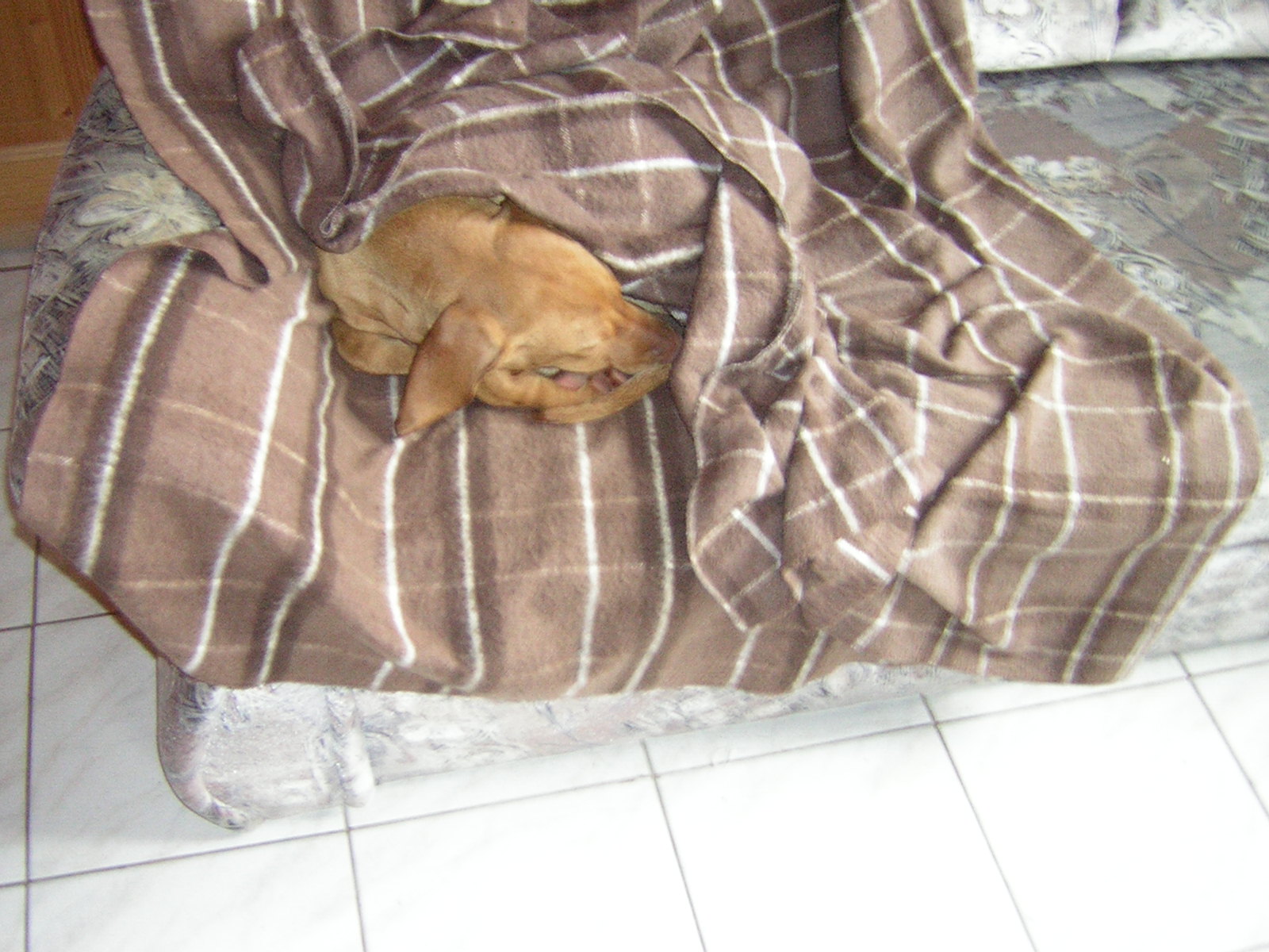 DSCN3825