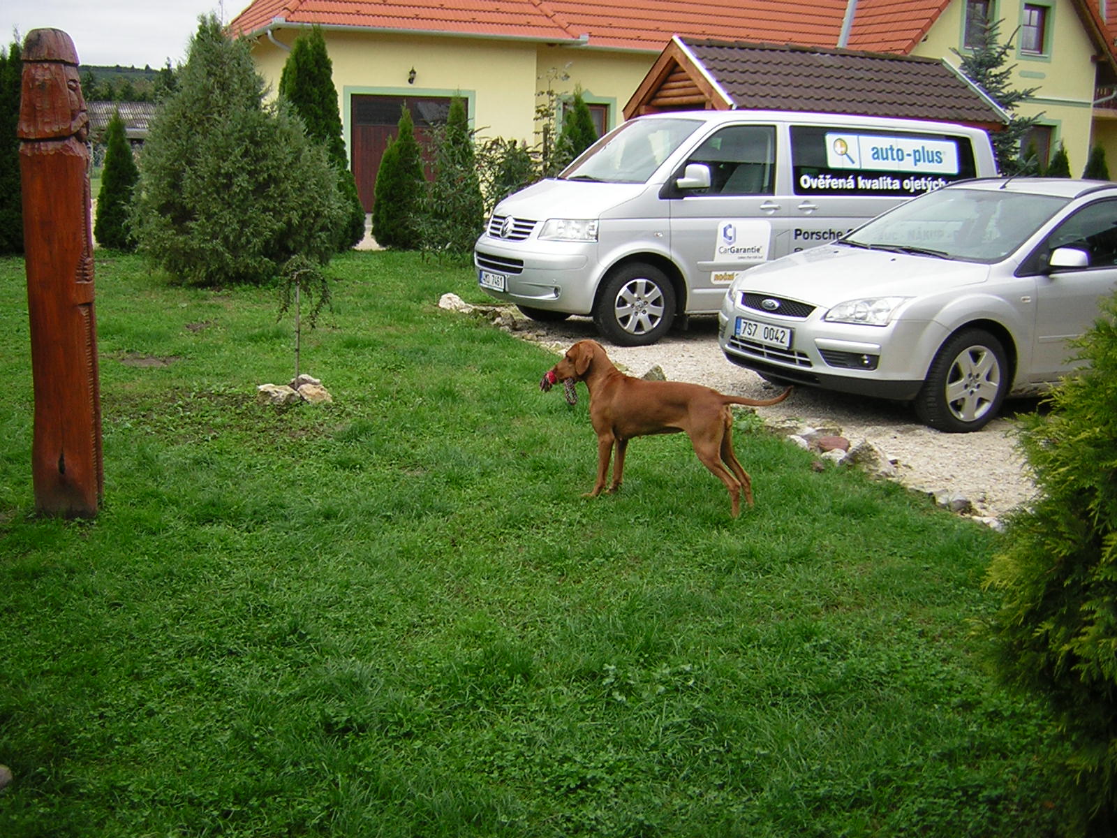 DSCN3770