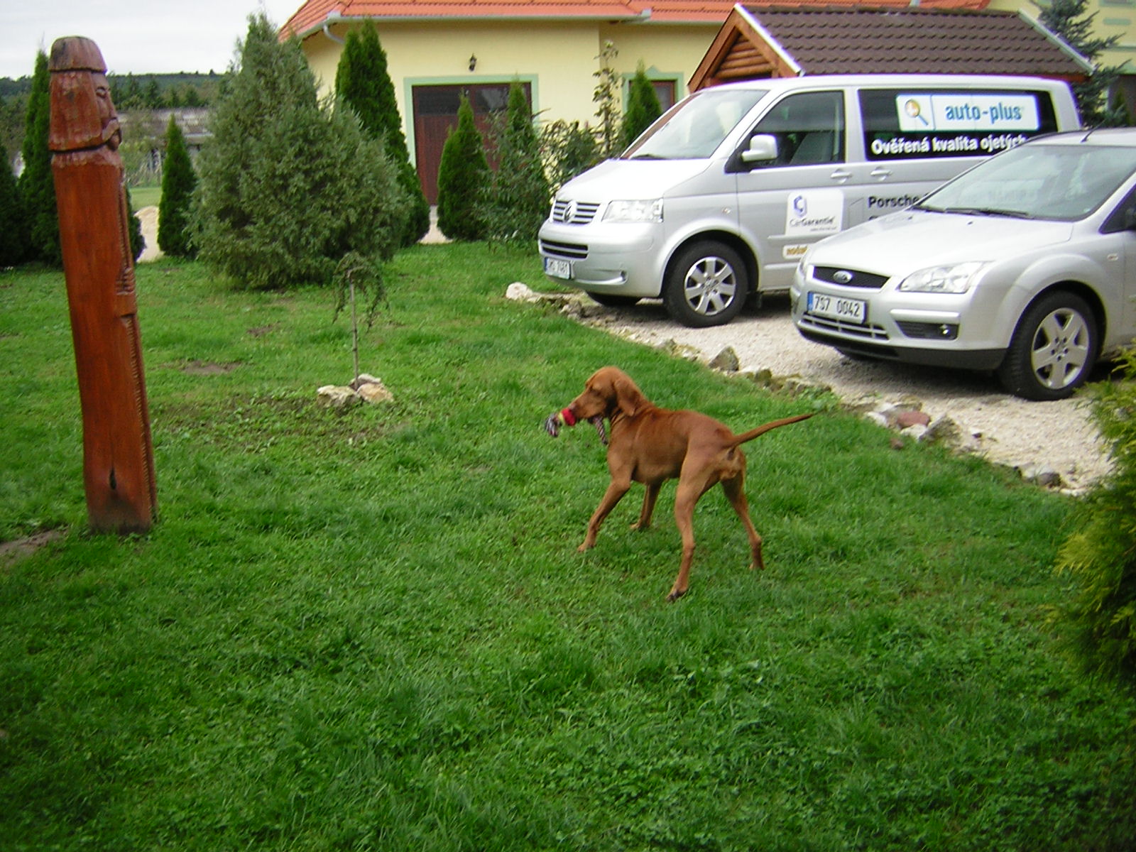 DSCN3772