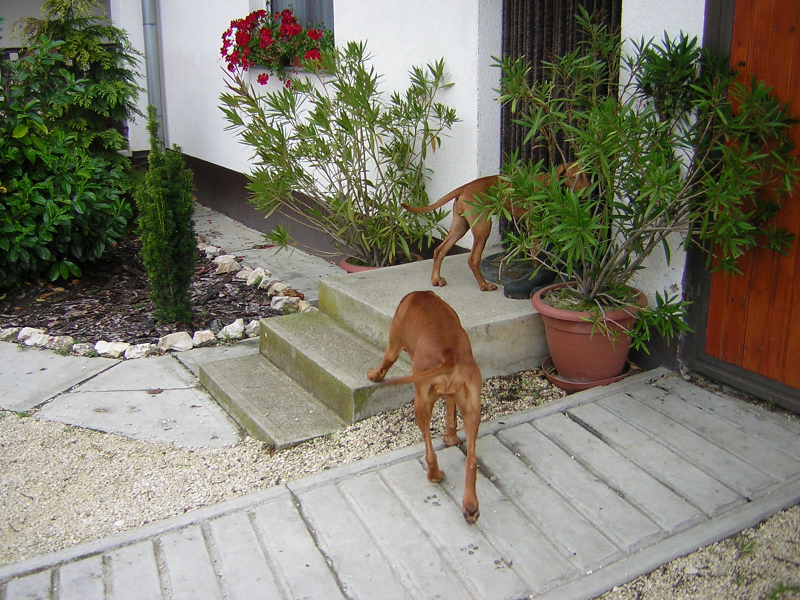 DSCN3780