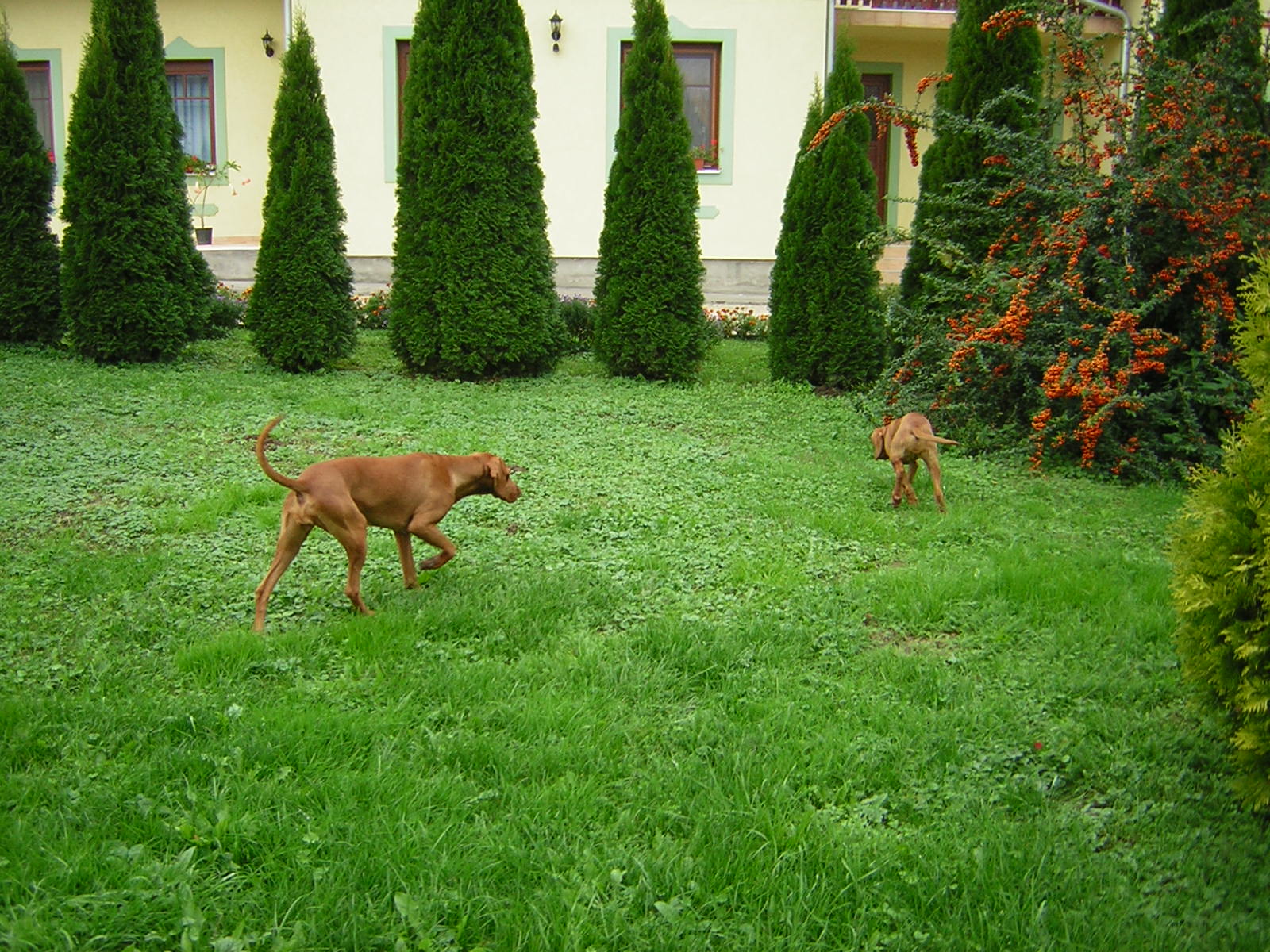 DSCN3794
