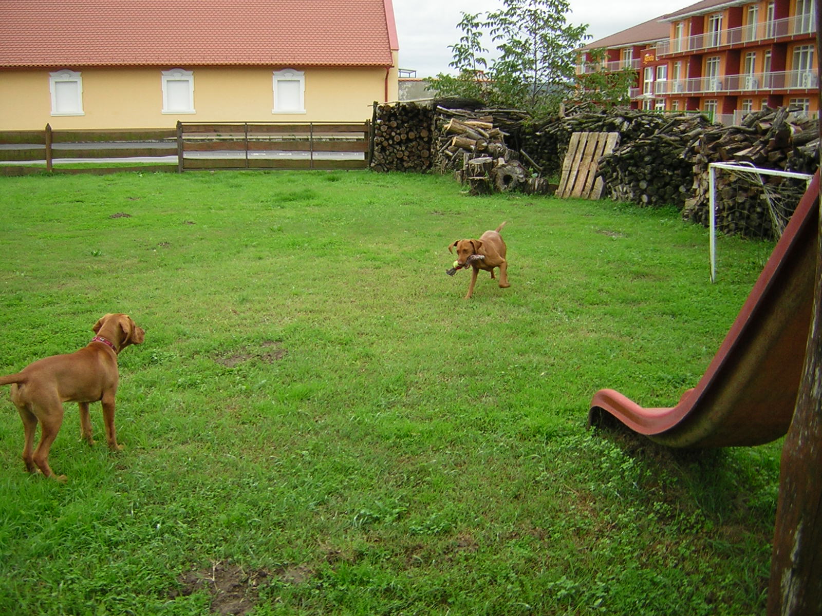 DSCN3797